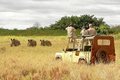 Pd04_uganda-safari