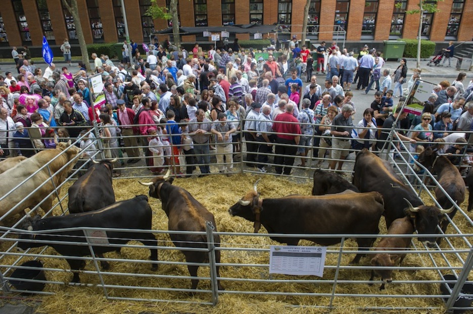 Feria de ganado.(Juanan RUIZ / ARGAZKI PRESS)