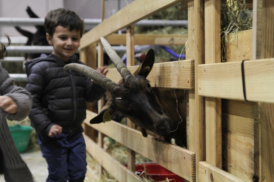 Les enfants ont pu approcher les animaux de la ferme. © Aurore LUCAS