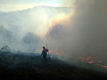 Imagen de archivo de un incendio forestal en Nafarroa. (Gobierno de Nafarroa)