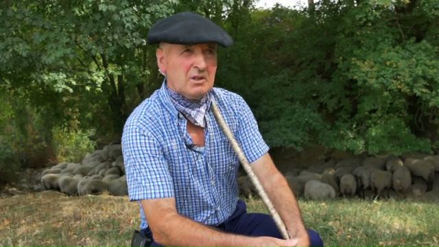 20170824-buru-rikardo