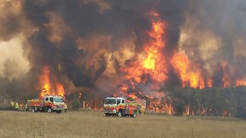 Dos camiones de bomberos en la localidad de Charmhaven, en Nueva Gales del Sur. (AFP) 