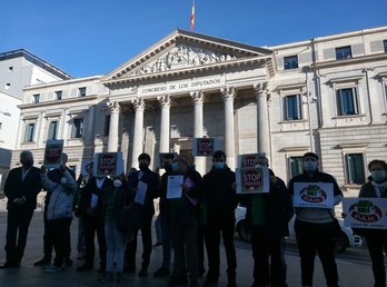 Miembros de la PAH en el acto de hoy frente al Congreso español. (Stop Desahucios)