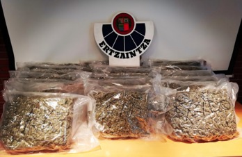 Bolsas de marihuana encontradas en Oiartzun. (Ertzaintza)