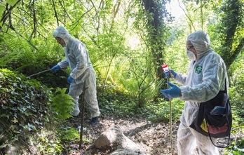 Ecologistas recogiendo muestras en el antiguo vertedero de Artxanda. (Marisol RAMIREZ/FOKU)