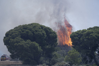 Incendio en el Vedado de Eguaras en julio de 2021. 