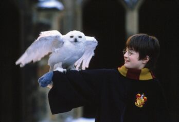 Daniel Radcliffe en 'Harry Potter y la piedra filosofal' (2001)