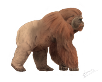 Representación del Gigantopithecus blacki.