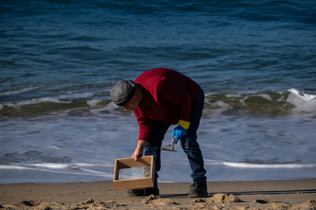 Un voluntario recogiendo pellets de plástico en una playa gallega.