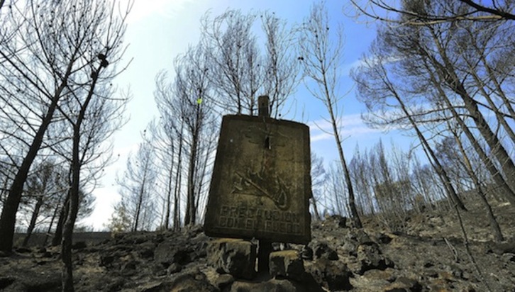 Una señal alerta del peligro de incendio en una zona afectada por el fuego en València. (José JORDÁN/AFP PHOTO)
