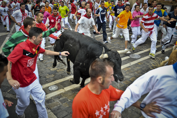Un toro se ha quedado rezagado en el tramo final. (Lander F. ARROIABE / ARGAZKI PRESS)