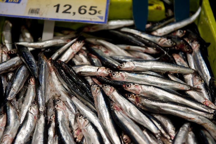 Venta de las primeras capturas de anchoa de la temporada. (Juan Carlos RUIZ/ARGAZKI PRESS)