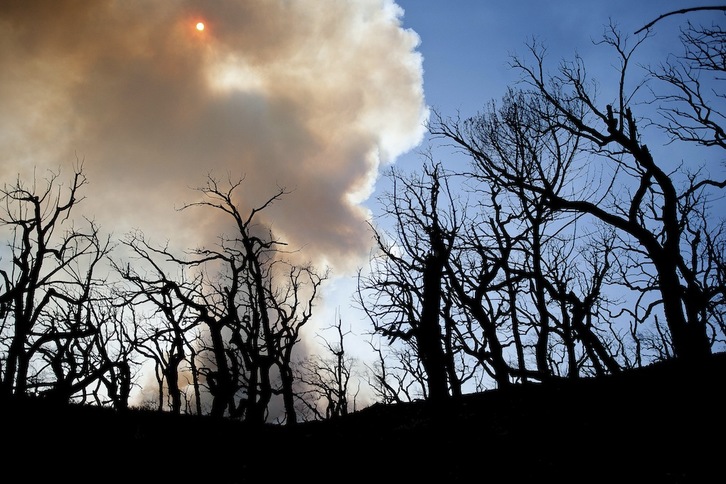 Árboles calcinados y columnas de humo, paisaje del Alt Empordà durante el incedio de la semana pasada. (Albert GARCIA)