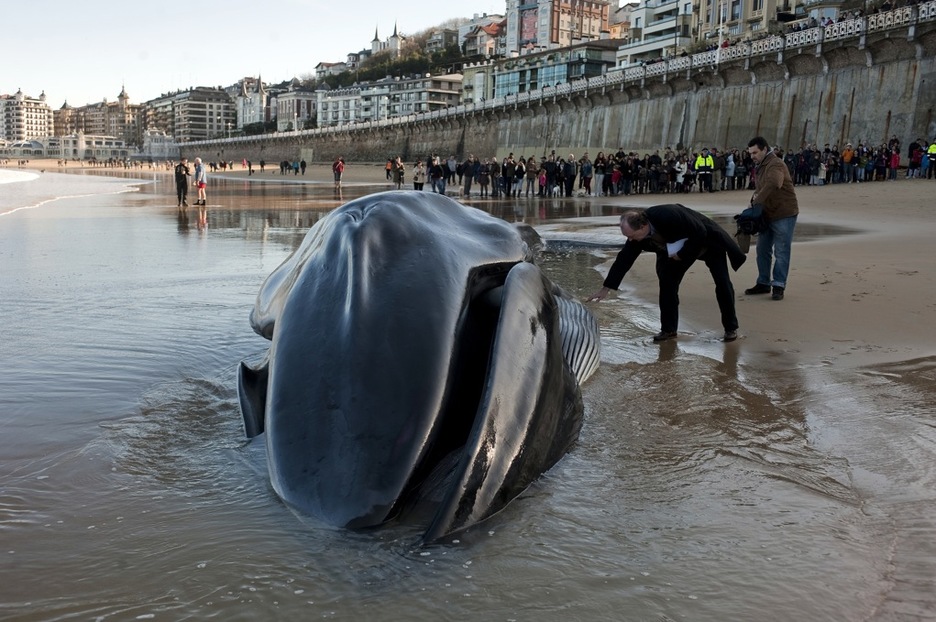 Aditu bat, balea ukitzen. (Haritz RODRIGUEZ/TRANSISTORIA) Aditu bat, balea ukitzen. (Haritz RODRIGUEZ/TRANSISTORIA)