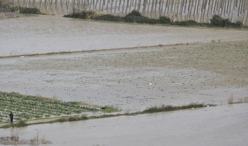 El río Arga se desbordo en Funes, inundando varias hectareas de cultivo. (Jagoba MANTEROLA/ARGAZKI PRESS)