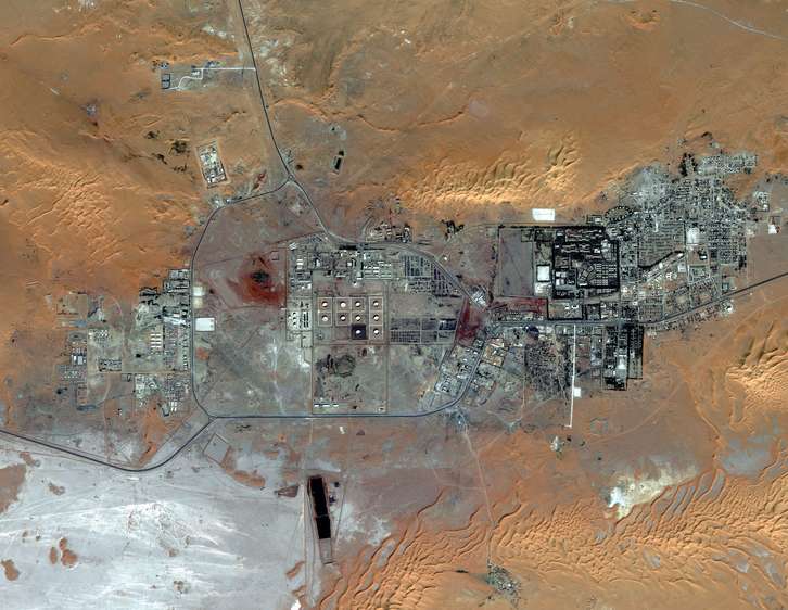 Imagen de la planta de gas vía satélite. (AFP)