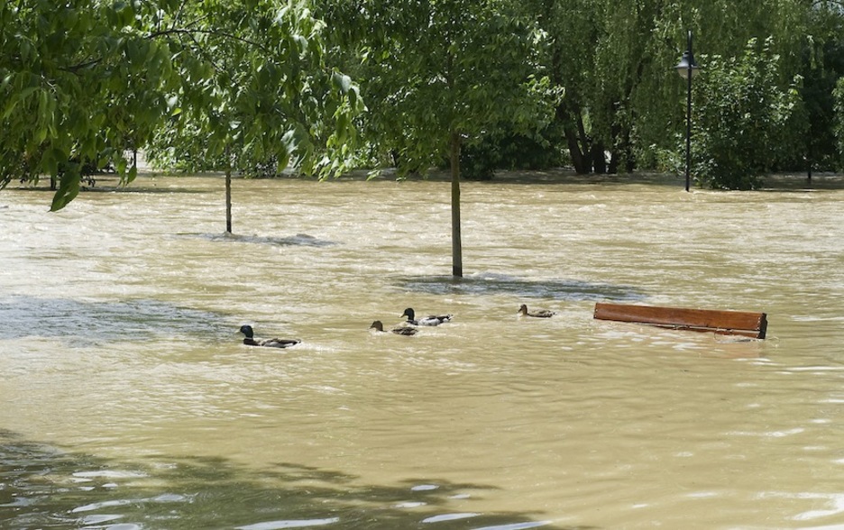 Ahateak eta guzti kalean barrena. (Idoia ZABALETA/ARGAZKI PRESS)