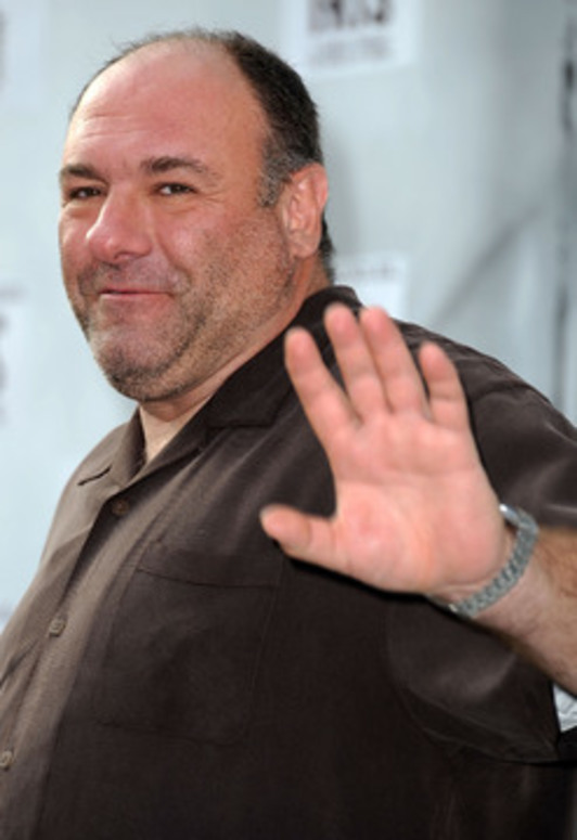 Gandolfini, en una imagen de archivo. (Valerie MACON/AFP)
