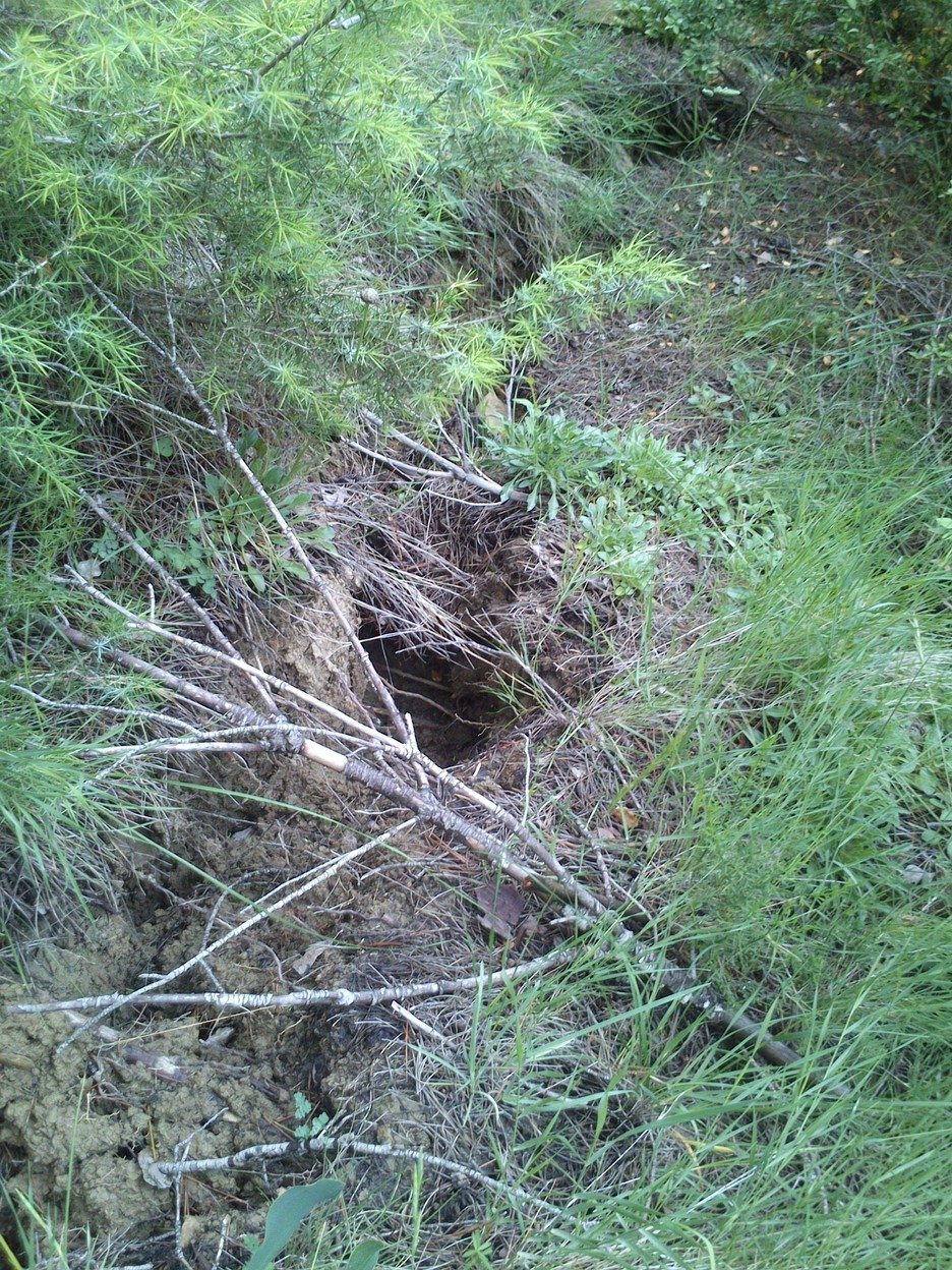 Uno de los socabones, en la cuneta de la carretera. (‘Yesa+no’)