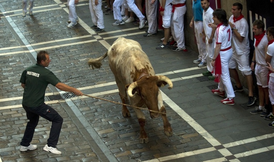 Un pastor intenta dirigir a un manso rezagado. (Juan Carlos RUIZ/ARGAZKI PRESS)