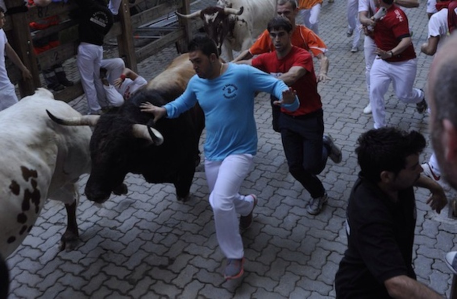Los morlacos, a punto de llegar a la plaza de toros. (ARGAZKI PRESS)