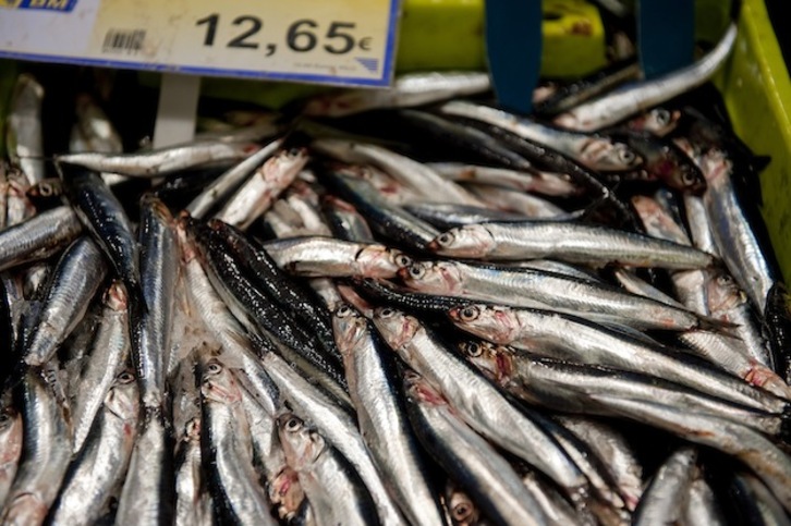 Anchoas expuestas para la venta en una pescadería (Juan Carlos RUIZ / ARGAZKI PRESS)