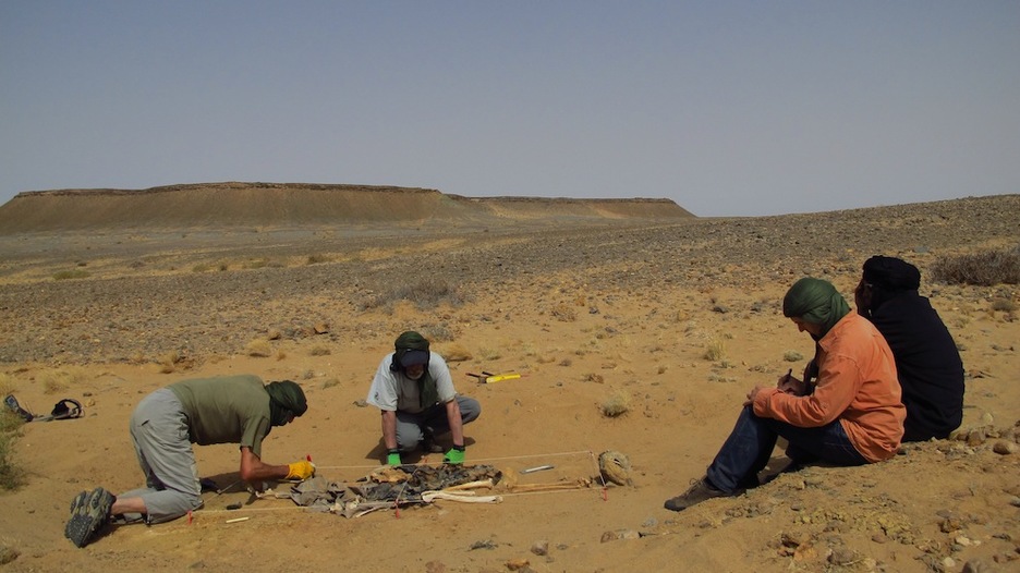Los investigadores analizan los restos hallados. (ARANZADI)