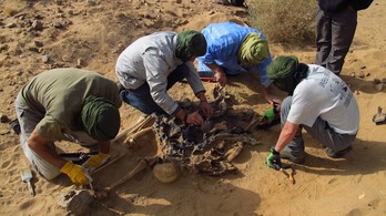 handle Los investigadores analizan los restos hallados. (ARANZADI) Los investigadores analizan los restos hallados. (ARANZADI)