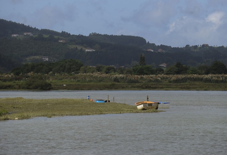 Urdaibaiko itsasadarra. (Luis JAUREGIALTZO/ARGAZKI PRESS)