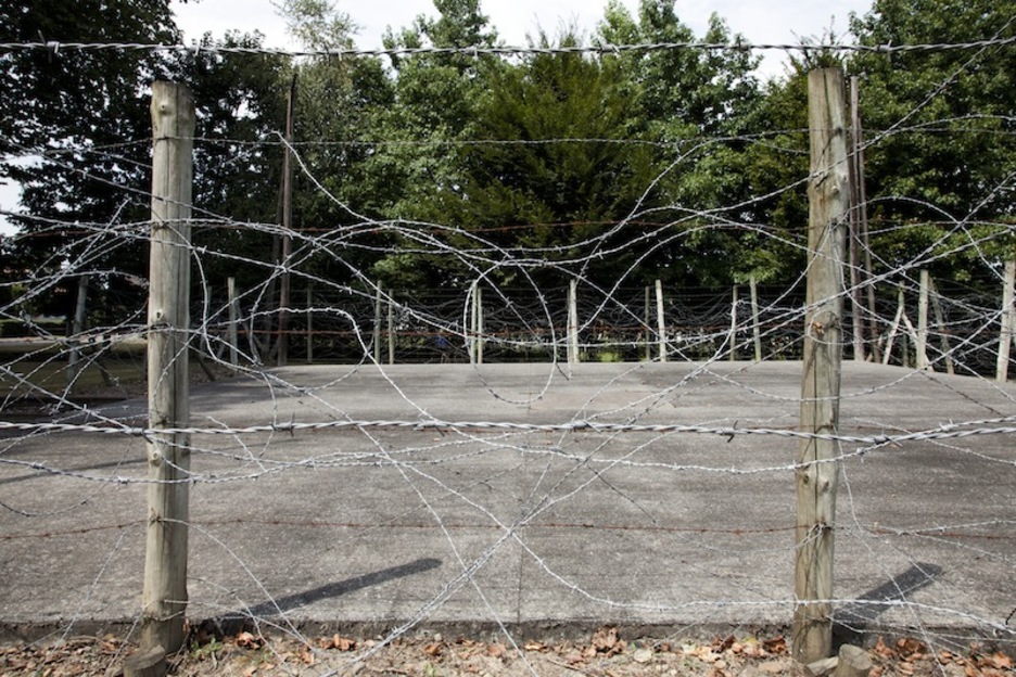Detalle del campo. Detalle del campo.