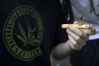 Uruguay aprobó el pasado miércoles una norma que legaliza el consumo y venta de la marihuana. (Pablo PORCIUNCULA/AFP)