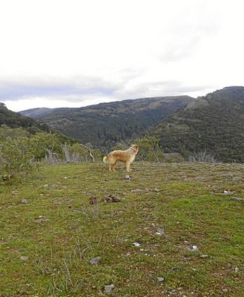 gara-2013-12-16-Noticia