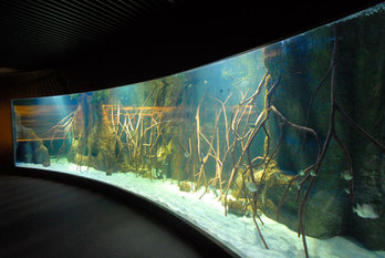 Donostiako Aquariuma.