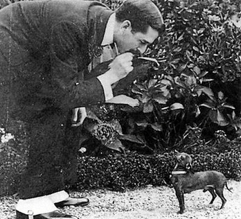 gara-2014-02-08-Opinión