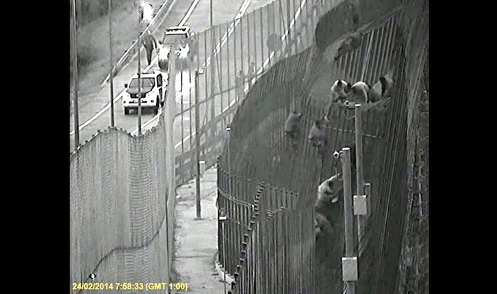 Varios inmigrantes saltan la valla de Melilla. (AFP / MINISTERIO DE INTERIOR)