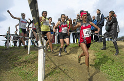 gara-2014-02-28-Noticia