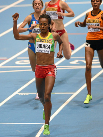 gara-2014-03-08-Noticia