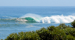 gara-2014-03-31-Opinión