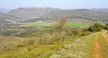 gara-2014-04-28-Noticia