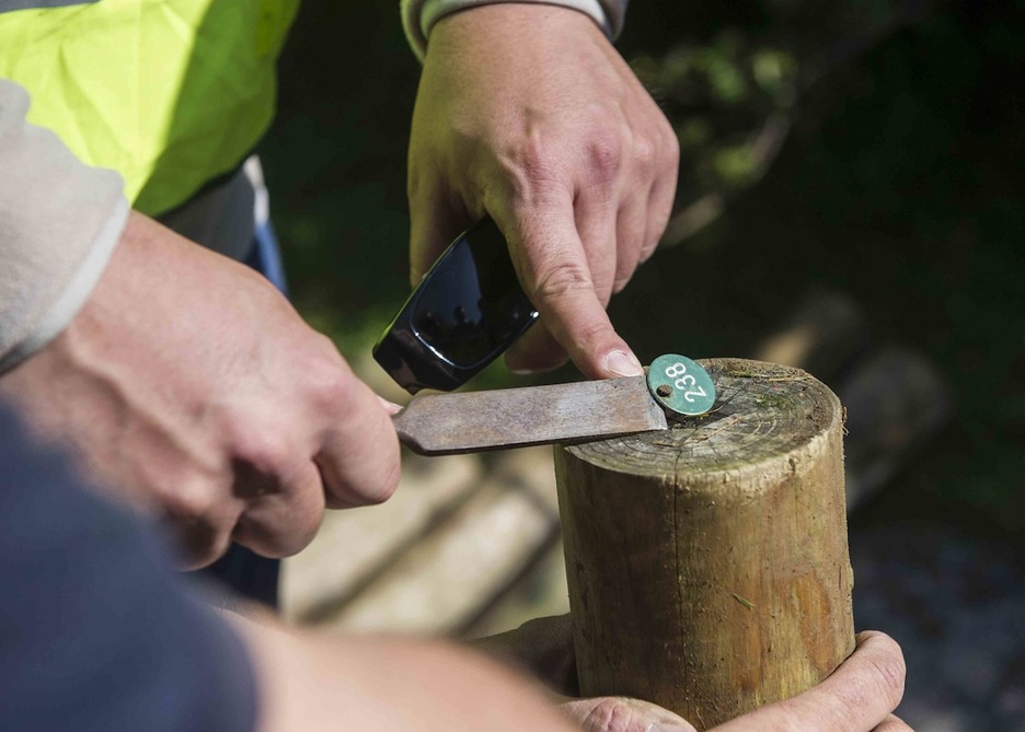 Hildako militanten zenbakia adierazten duen txapak banan banan kendu dituzte. (Gorka RUBIO/ARGAZKI PRESS)