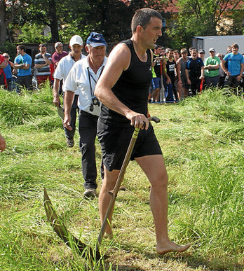 gara-2014-06-08-Noticia