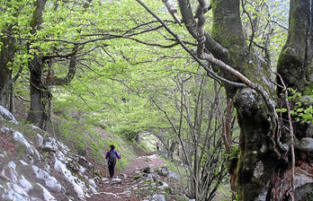 gara-2014-06-16-Noticia