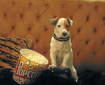 gara-2014-06-16-Opinión