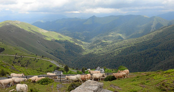 gara-2014-06-20-Noticia