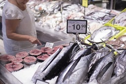 gara-2014-06-20-Noticia