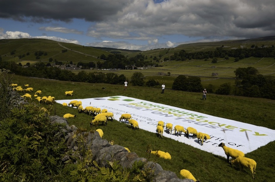 Ardiak ere horiz. (ERIC FEFERBERG/AFP)