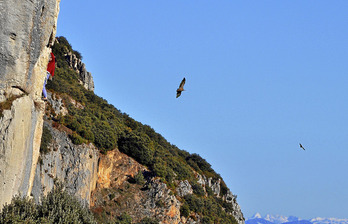 gara-2014-07-07-Noticia