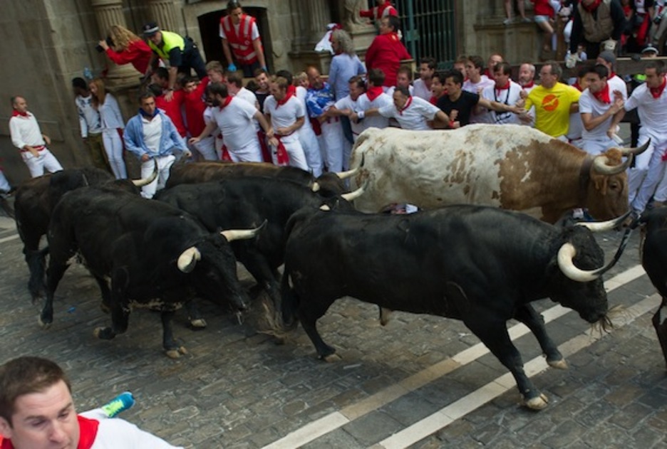 Zezenak, Udaletxeko plazan. (Jagoba MANTEROLA/ARGAZKI PRESS) Zezenak, Udaletxeko plazan. (Jagoba MANTEROLA/ARGAZKI PRESS)