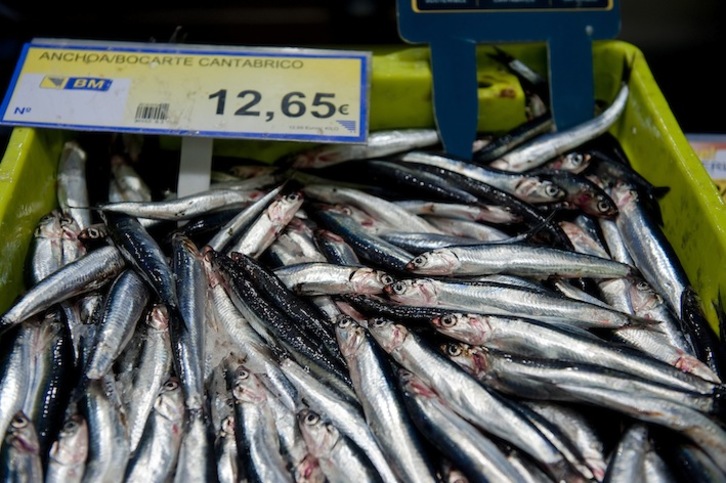 Anchoas en una pescadería de Donostia. (Juan Carlos RUIZ/ARGAZKI PRESS)