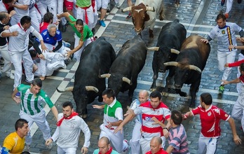 Cuatro astados, al frente de la manada. (Andoni CANELLADA/ARGAZKI PRESS)